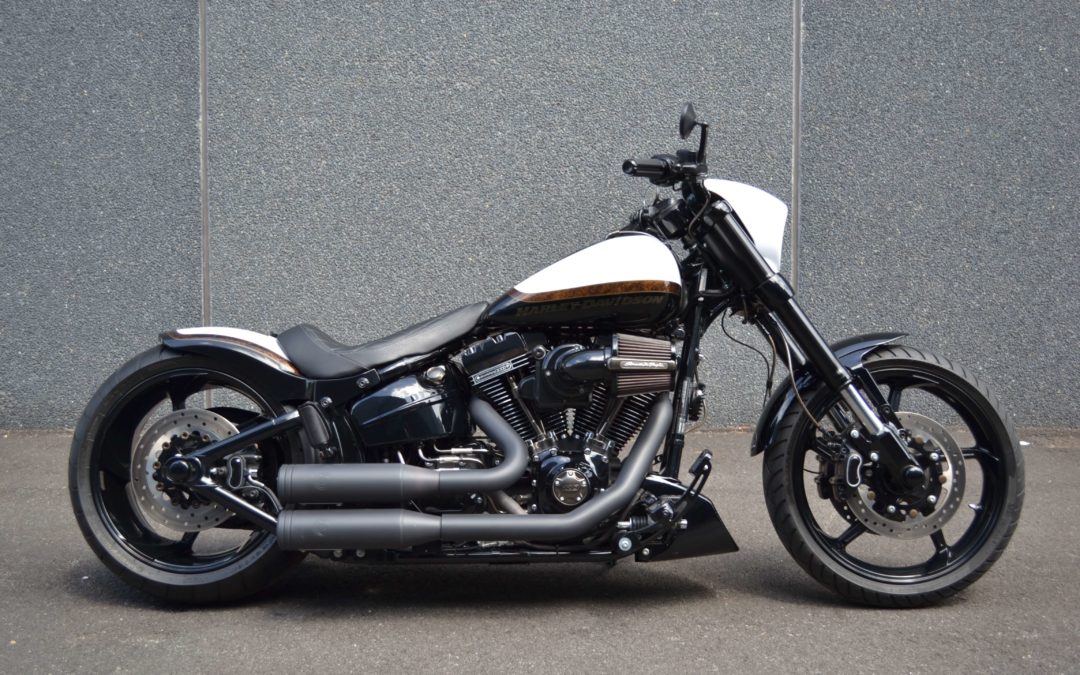 Archivi Moto custom - Harley Davidson