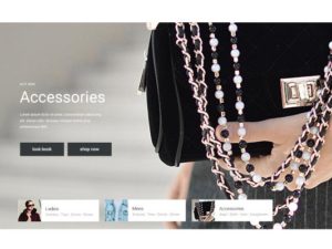 Fashion Header – Diana featured image ddp