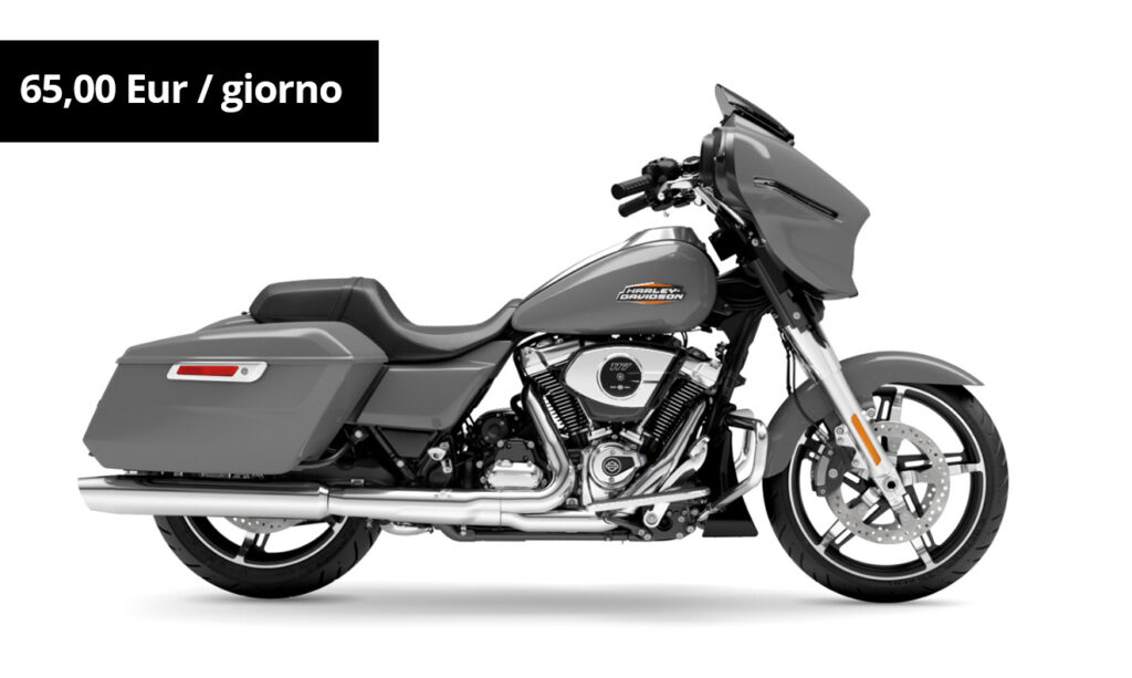 Harley sostitutiva-3