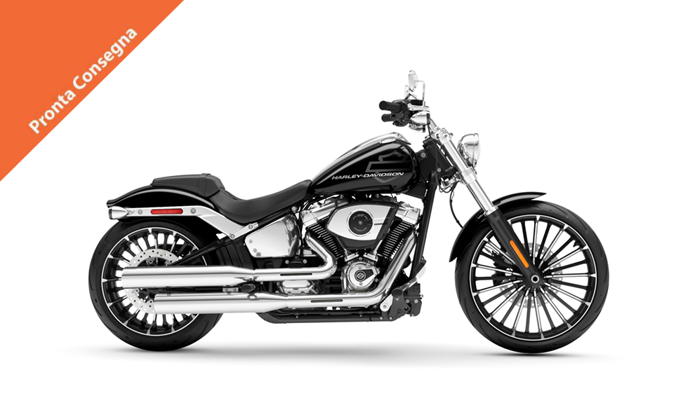 Brackput harley