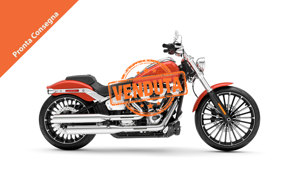 Road-Glide™-copia copia