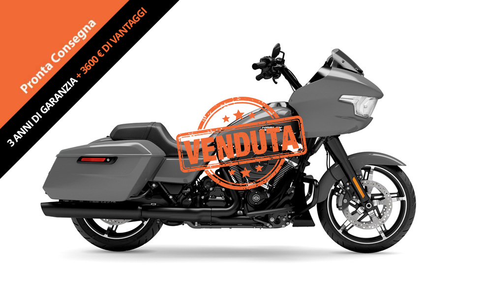 Road-Glide™- copia