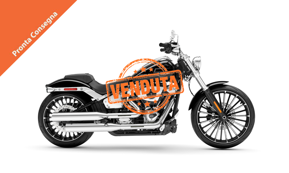 Road-Glide™2-copia copia